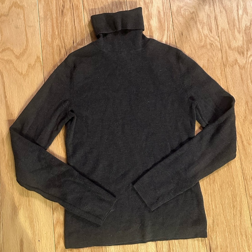 Banana Republic 100% Extra Fine Merino Wool Turtleneck Sweater